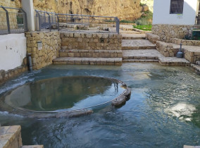 המעיין הפועם נפתח מחדש: קופצים לעין מבוע
